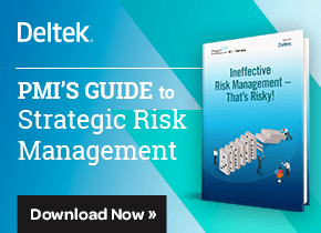 Deltek-risk-management-guide.png