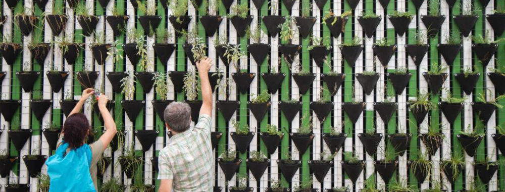 CIOB Person planting in hanging pots 1000.jpg