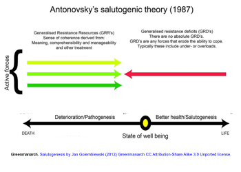 Salutogenisis and The Sense of Coherence of Antonovsky 1987 350.jpg