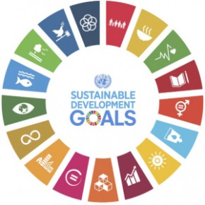 SDGs 290.jpg