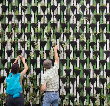 CIOB Person planting in hanging pots 350.jpg