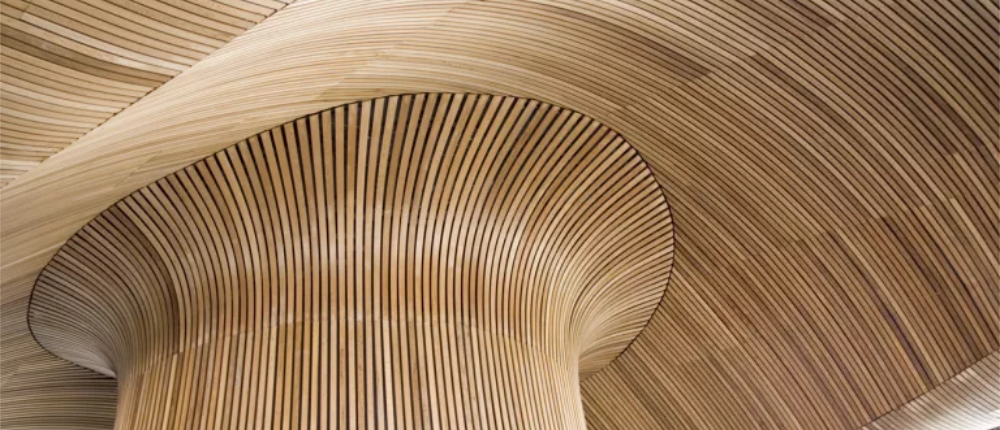 CIOB Welsh assembly building 1000.jpg