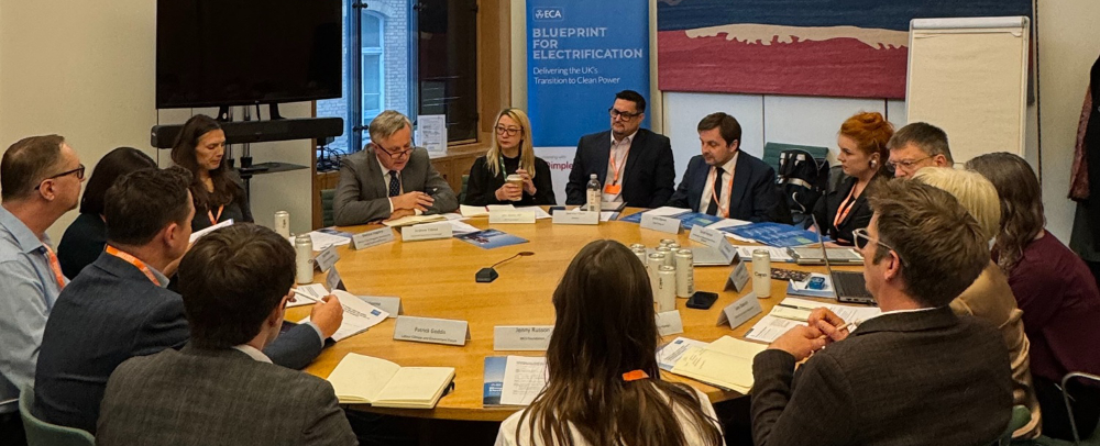 ECA Parliamentary-Roundtable 1000.jpg