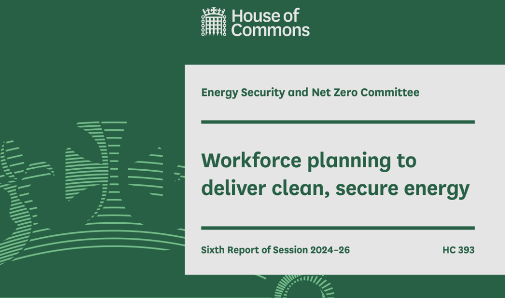 DESNZ workforce planning cover 1000.jpg