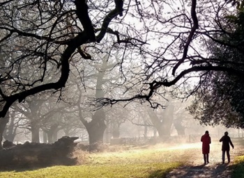 Richmond park 350.jpg