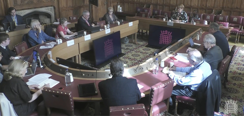 Dame Hackitt at commons committee 1000.jpg