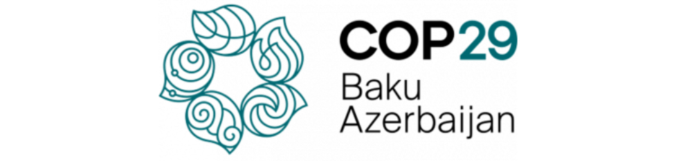 Cop29 official logo copy 1000.jpg