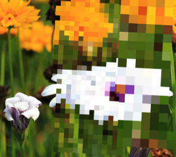 Flower pixel marguerite-350.jpg