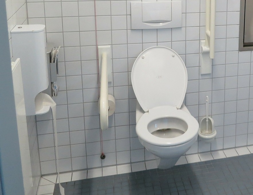 Wall hung toilets - Designing Buildings Wiki