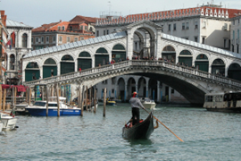 Venice Rialto Bridge Fiona Newton.png