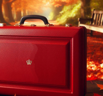 Autumn Budget briefcase AI 350.jpg