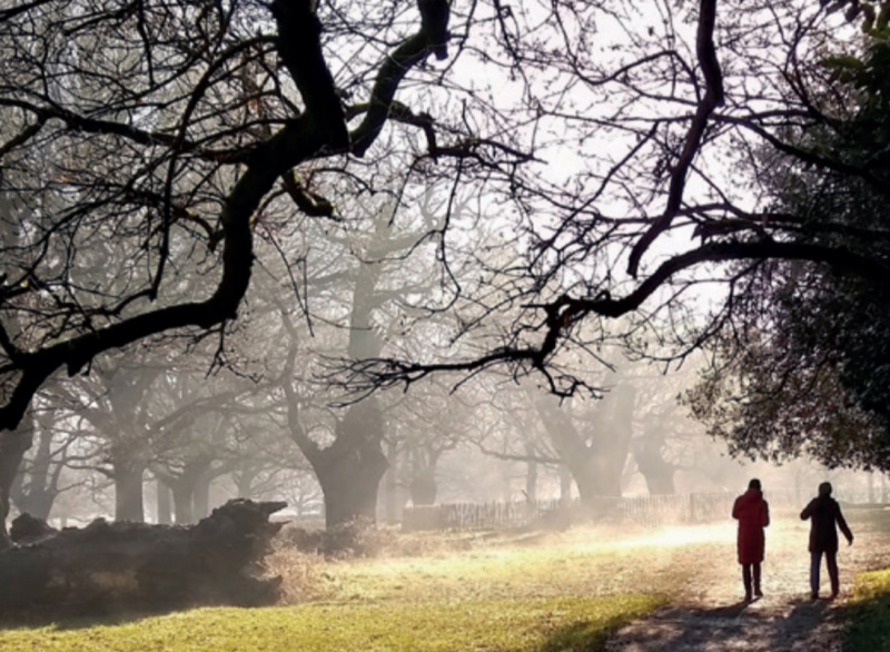 File:Richmond park.jpg